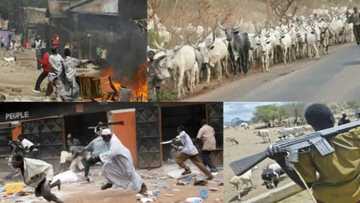 Tears flow as Fulani herdsmen attack Benue community again, kill 6