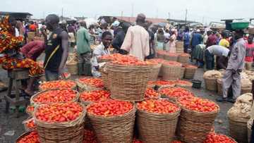 Top 10 Foodstuff Markets In Lagos