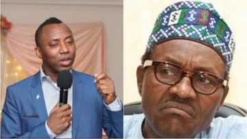 PDP ta mutu har abada, APC kuma zata sha kashi a hannuna – Dan takarar shugaban kasa Sowore