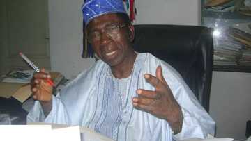 How SDP candidate will win 2019 presidency - Adeniran