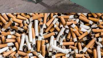 Lafiya Jari: Yadda igiyar leko ta yiwa karan sigari fintinkau ta fuskar illata dan Adam