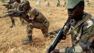 An damke mata biyu cikin 'yan bindigan da suka addabi Zamfara