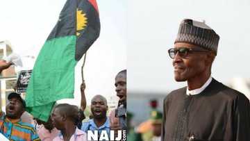 Afenifere, Igbo groups warn against crackdown on Pro-Biafra organisations, insists IPOB members are not terrorists