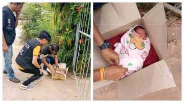 Sad! Woman delivers baby, you won't believe where she dumped her child hours later (photos)