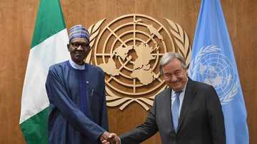 UN reacts as Boko Haram insurgents kill 31 in fresh attack on Borno