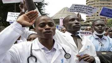 Blame FG, health ministry for death during strike - JOHESU tells Nigerians