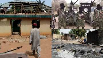 Nigeria has lost over N2trillion to Boko Haram attacks since 2009 - UN