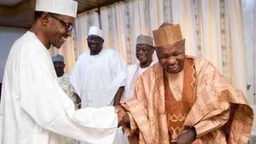 2019: ‘Yan Kasuwa a jihar Buhari sunce zasu siyawa shugaban kasa da Masari fom din sake tsayawa takara