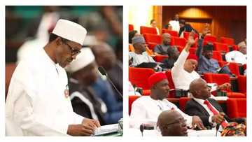 This is an impeachable offence - Senators fume over Buhari's 'unapproved' $496m withdrawal