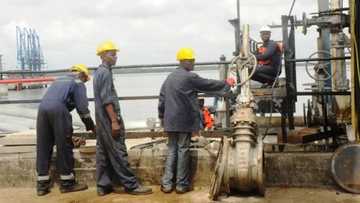 Labari mai dadi: NNPC zata soma hako mai a rijiyoyin mai 4 a Arewa