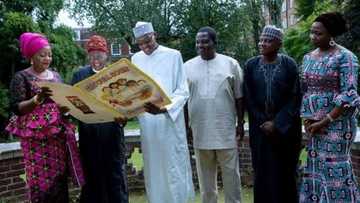 The President Buhari I saw in London - Femi Adesina gives details
