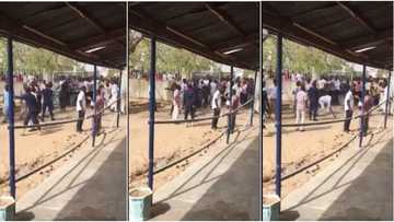 This VIDEO of Borno students getting flogged as they struggle to buy JAMB forms will make you mad at Nigeria