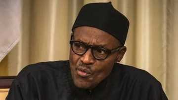 I almost fled Nigeria in 2016 - Buhari makes shocking revelation