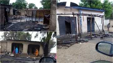 Kalli hotunan ɓarnar da Boko Haram tayi a wasu ƙauyukan jihar Borno guda 2