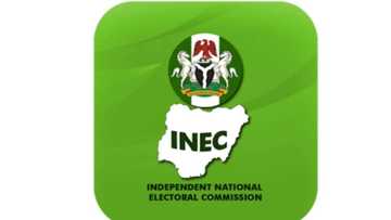 INEC ad-hoc staff recruitment for 2019 election: is it real?