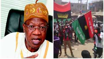 Lai Mohammed blasts Biafra group, says fake news poses more threat than insurgency, militancy