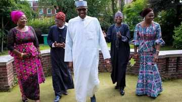 President Buhari all smiles as Lai Mohammed leads Abike Dabiri, others to London (photos)