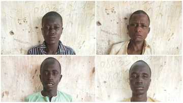 4 Boko Haram suspects nabbed by soldiers in Yobe (photos)