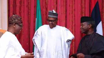 We have successfully degraded Boko Haram, terrorist group no longer have territories here - Buhari