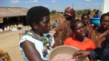 Bayan kasar Habasha, Rwanda ma tace zata baiwa mata kujeru 50 a kowanne mataki na mulki