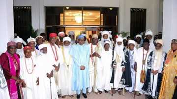 See how President Buhari received all Traditional Rulers in Nigeria (photos)