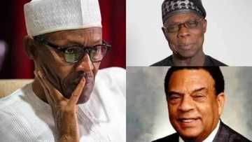 Corruption, laziness, selfishness is holding Nigeria to slavery - Former US Ambassador