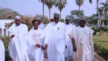 Fear of job loss moved 7 APC governors to endorse Buhari for second term - PDP insists