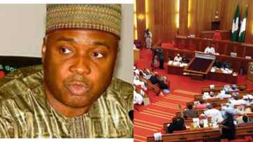 JUST IN: Senate scraps NNPC, establishes 3 new agencies