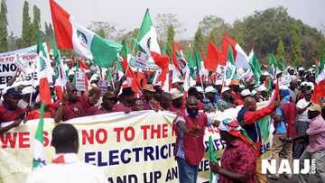 Great opportunity! Massive recruitment hits Federal Civil Service (LIST)
