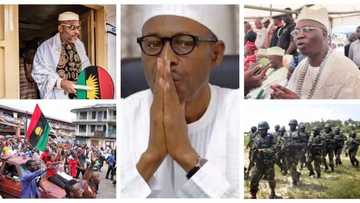 Operation Python Dance: OPC blows hot, fires warnings to Buhari, army