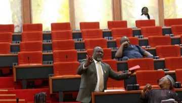 Drama as Melaye kneels down during plenary to beg Senate for help over Kogi civil servants' salaries (Photo)