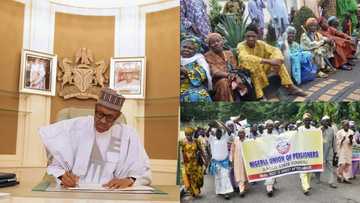 Good news! President Buhari releases N54bn to settle pension backlog