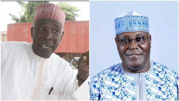 Atiku: Buba Galadima ya bayyana a gidan talabijin da rigar APC, hoto