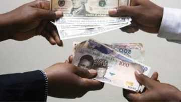 BREAKING: Customs reacts as naira crashes to N285/$1 at interbank
