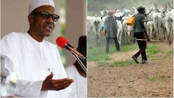Assha: Sabon rikicin Makiyaya da Manoma ya salwantar da Rayuka 10 a Mahaifar shugaba Buhari
