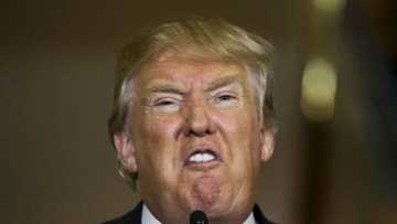 You have insulted us - Nigerians in Diaspora express outrage at Trump, following ‘vulgar’ comments