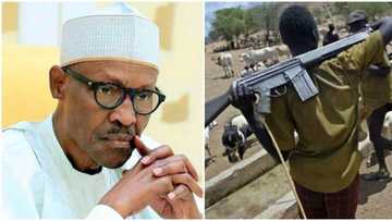 Herdsmen crisis: FG gives in; to establish ranches instead of colonies