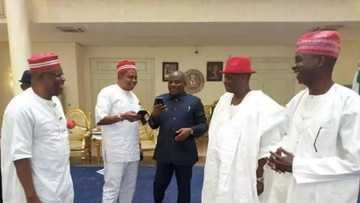 Dambarwan Siyasa: Rikici ya kunno kai tsakanin Kwankwaso da Shekarau, Wali