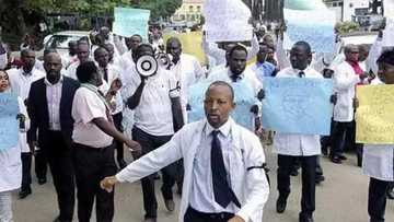 Kusan kashi 9 bisa goma na likitocin Najeriya na kokarin tserewa aiki Turai - Bincike