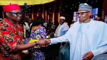 Sau 2 Daura na zawarci na don na mara wa Buhari baya - Fayose