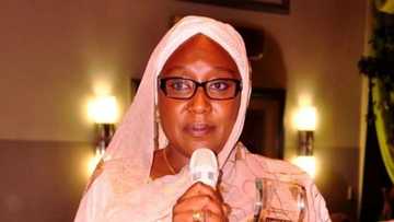 Zaben cikin gida: An yi takara tsakanin uwa da 'da a jam'iyyar APC