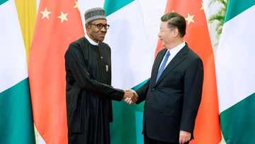 Abin da na fada wa shugaban China kan tashar lantarki ta Mambila - shugaba Muhammadu