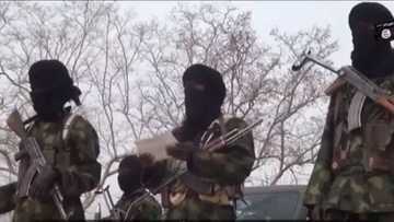 Panic as Boko Haram members split over Shekau's disobedience, Islamic State interferes