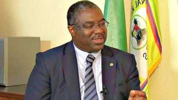 Jubilation as FIRS beats Customs, generates N4 trillion for Nigeria