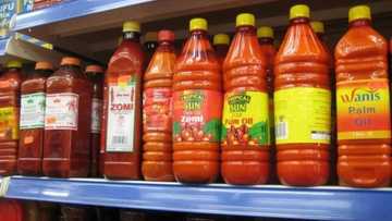 Satar manja yayi sandiyyar kwanan gidan yari ga wani saurayi