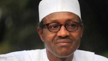 Buhari To Fight Corruption With These 5 Allegedly Corrupt Ministers?