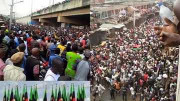 MUST READ: Are we all Biafrans?