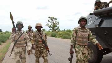 Just in: 8 armed bandits arrested in Taraba state