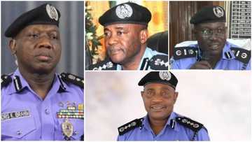 Full list of Nigeria's IG of police since Independence till date