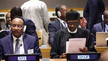 READ what Buhari told world leaders about Boko Haram de-radicalization process